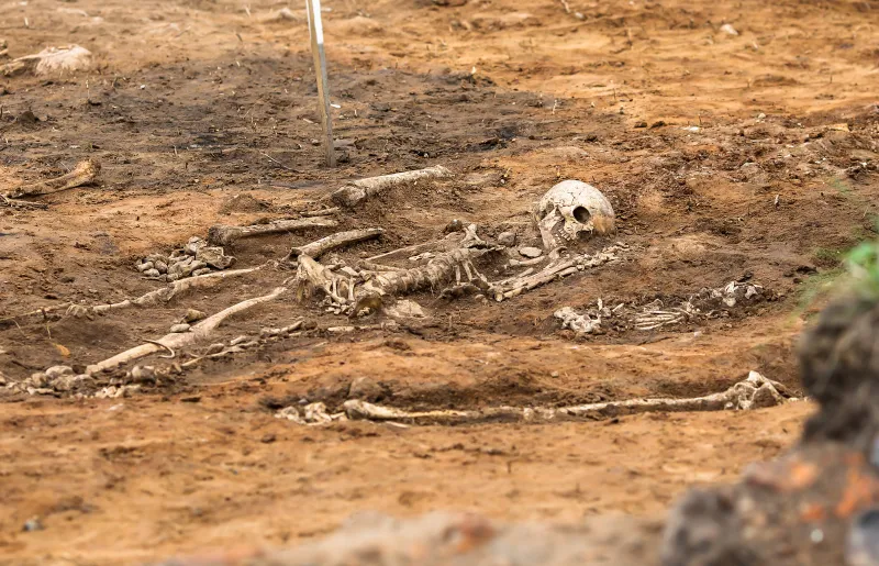 Archeologen vinden overblijfselen van vriend die eerste kwartier op festival was kwijtgeraakt