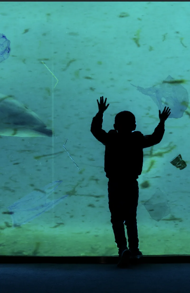 Dolfinarium flikkert 600 ton plastic in aquarium zodat zeedieren zich thuis voelen